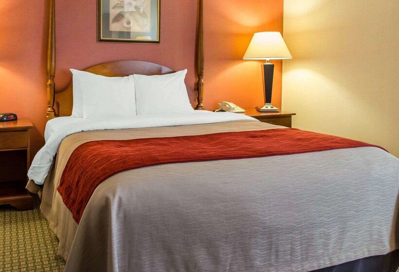 호텔 Comfort Inn & Suites