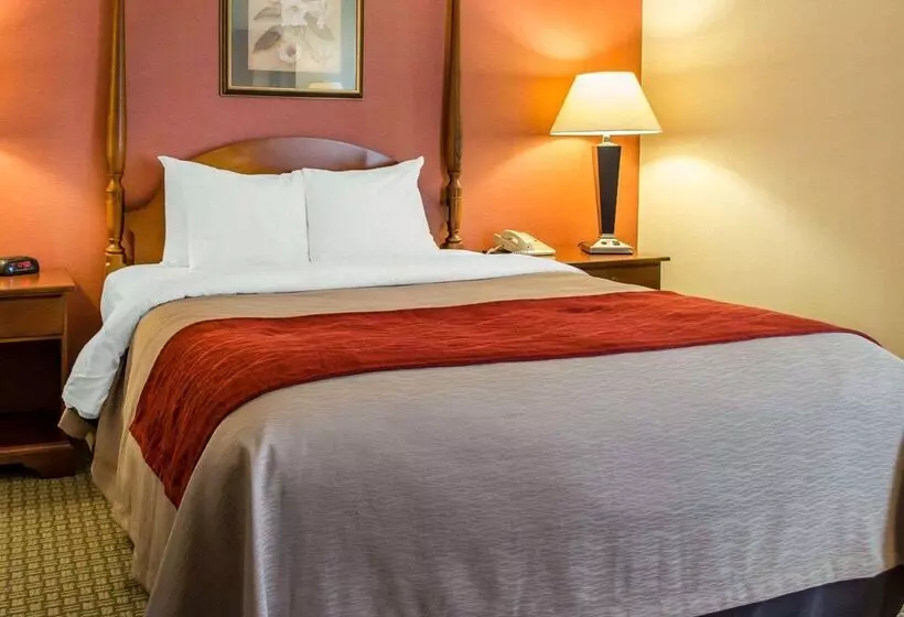 Отель Comfort Inn & Suites