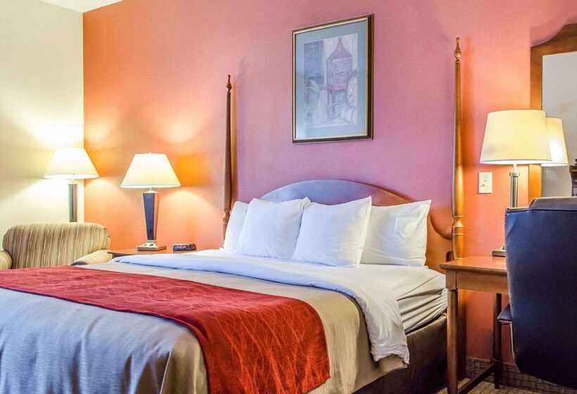 호텔 Comfort Inn & Suites