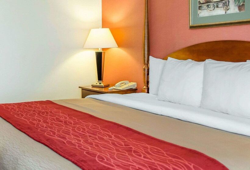 호텔 Comfort Inn & Suites