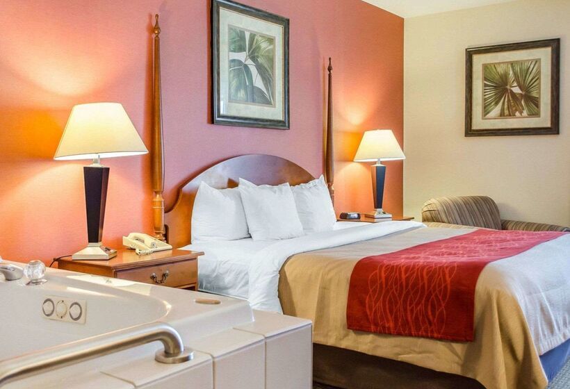 호텔 Comfort Inn & Suites