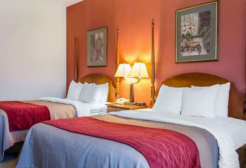 Отель Comfort Inn & Suites