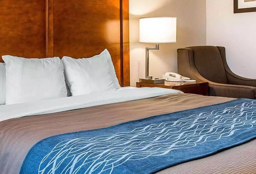 호텔 Bluffton Inn & Suites