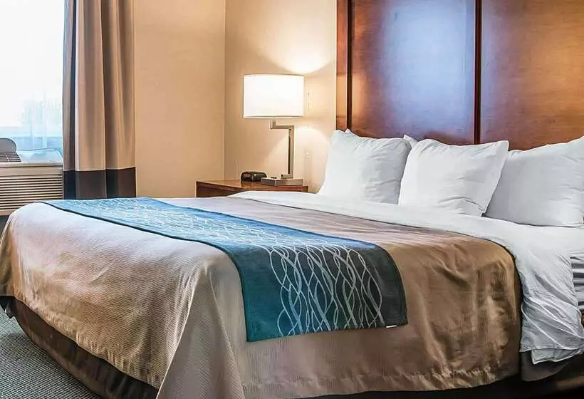 호텔 Bluffton Inn & Suites