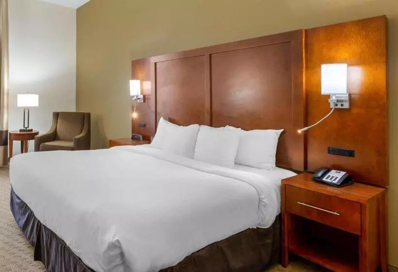 Отель Comfort Inn Columbus Near Fort Moore