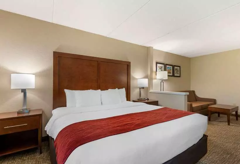 ホテル Spark By Hilton San Antonio Airport