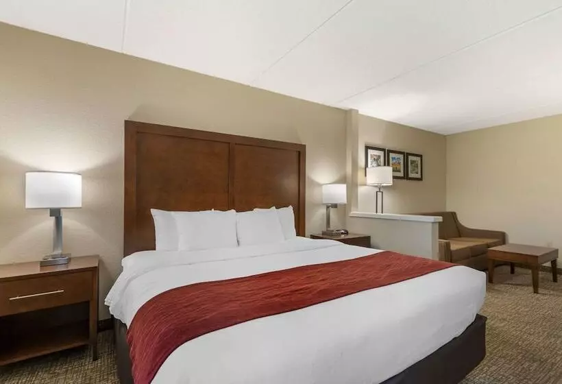 ホテル Spark By Hilton San Antonio Airport