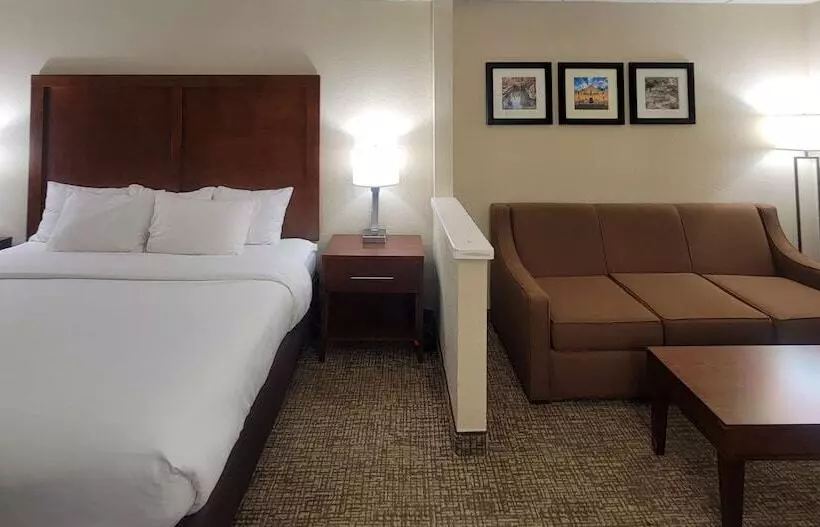 ホテル Spark By Hilton San Antonio Airport