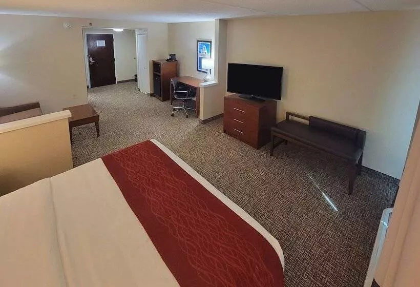 ホテル Spark By Hilton San Antonio Airport