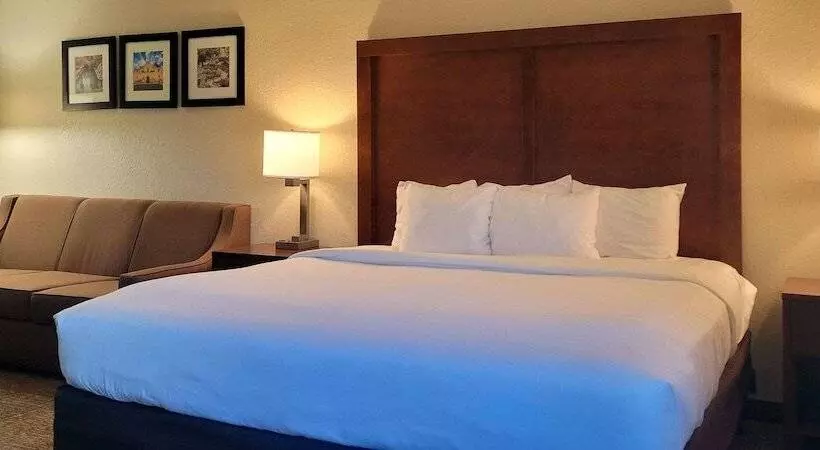 ホテル Spark By Hilton San Antonio Airport