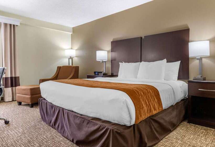 בית מלון כפרי Comfort Inn & Suites Lake Norman