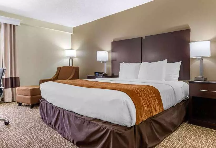 酒店 Comfort Inn & Suites Lake Norman