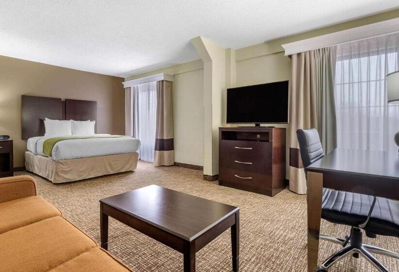 בית מלון כפרי Comfort Inn & Suites Lake Norman