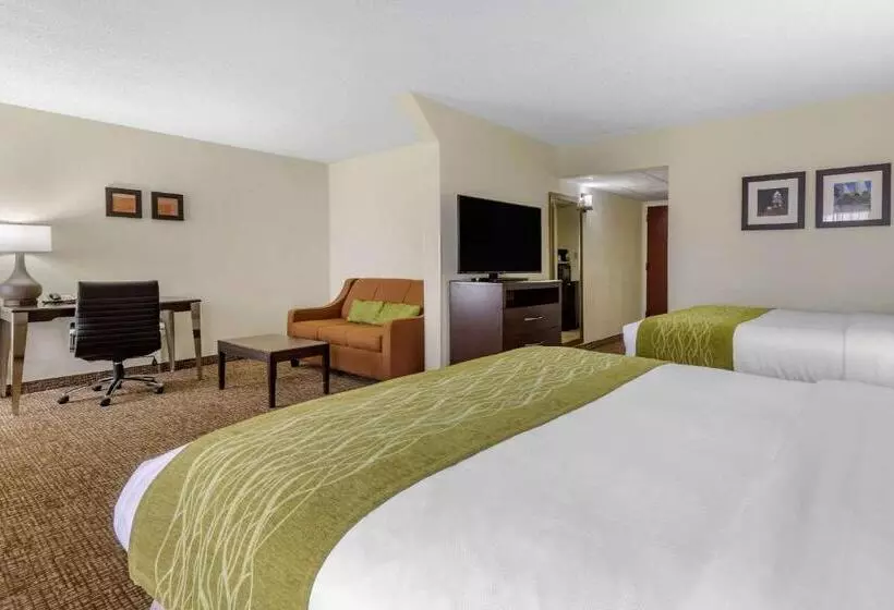 酒店 Comfort Inn & Suites Lake Norman