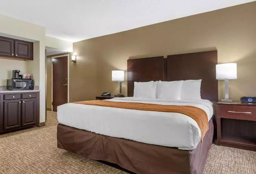 酒店 Comfort Inn & Suites Lake Norman