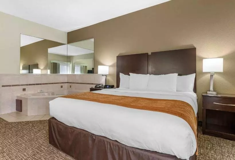 酒店 Comfort Inn & Suites Lake Norman