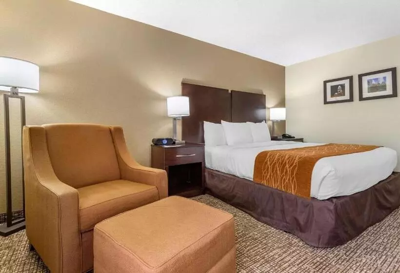 酒店 Comfort Inn & Suites Lake Norman
