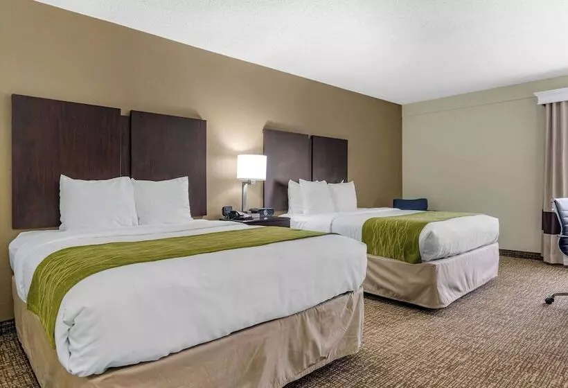 酒店 Comfort Inn & Suites Lake Norman