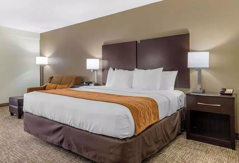 酒店 Comfort Inn & Suites Lake Norman