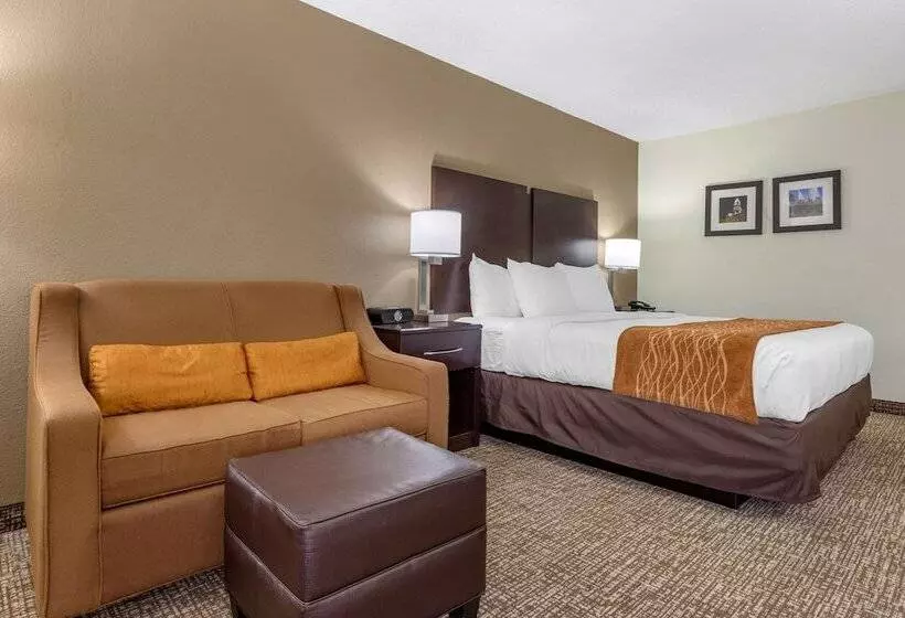 酒店 Comfort Inn & Suites Lake Norman
