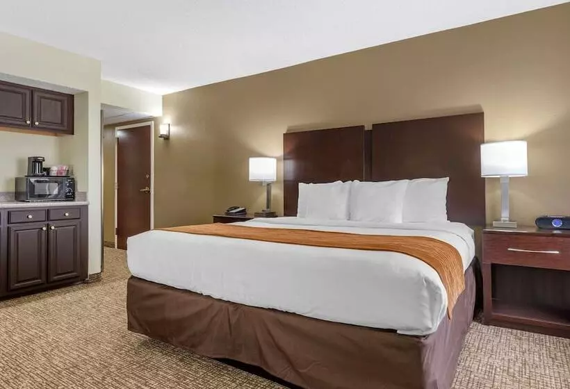 酒店 Comfort Inn & Suites Lake Norman