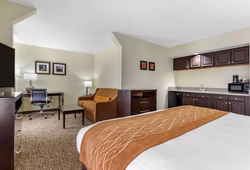 酒店 Comfort Inn & Suites Lake Norman