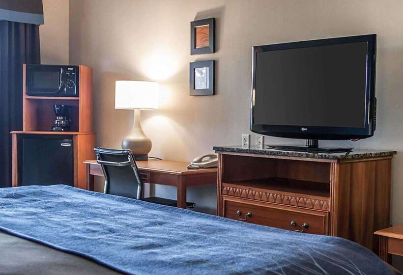 ホテル Comfort Inn & Suites