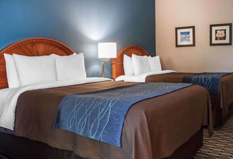 ホテル Comfort Inn & Suites