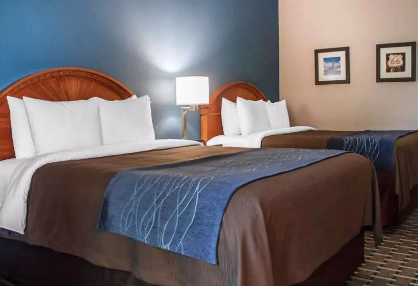 호텔 Comfort Inn & Suites