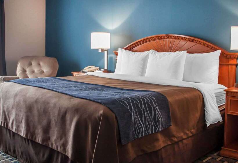 ホテル Comfort Inn & Suites