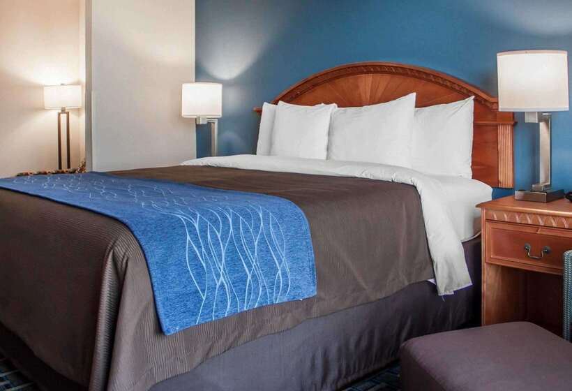 ホテル Comfort Inn & Suites