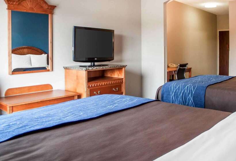 ホテル Comfort Inn & Suites