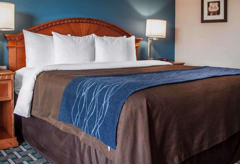 ホテル Comfort Inn & Suites