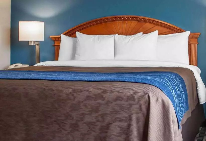 호텔 Comfort Inn & Suites