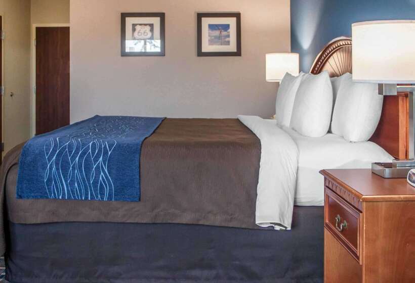 ホテル Comfort Inn & Suites