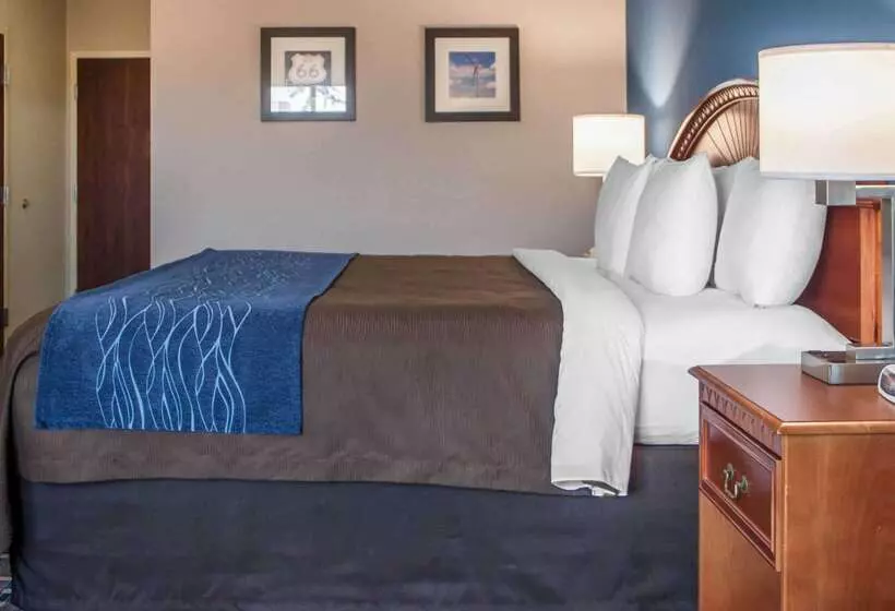 호텔 Comfort Inn & Suites