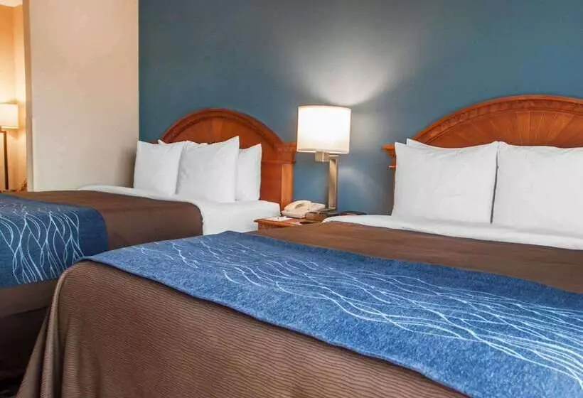 호텔 Comfort Inn & Suites