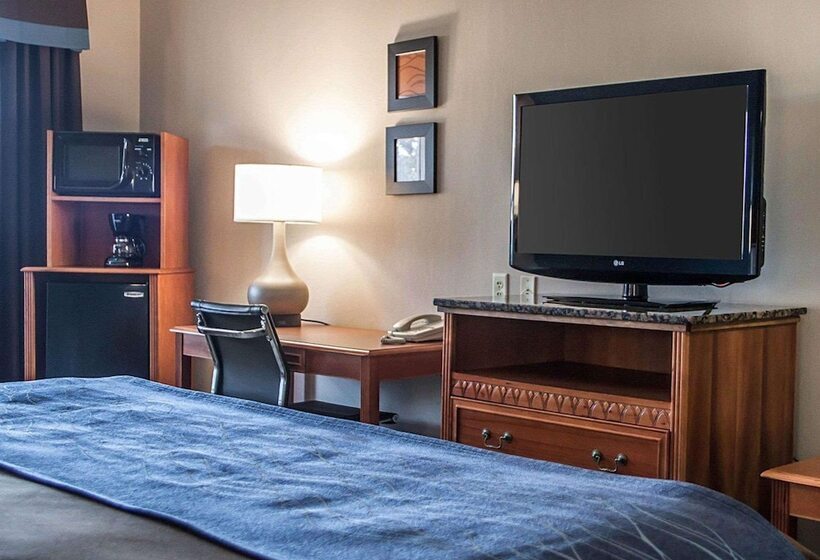 ホテル Comfort Inn & Suites