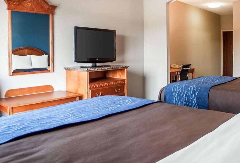 ホテル Comfort Inn & Suites