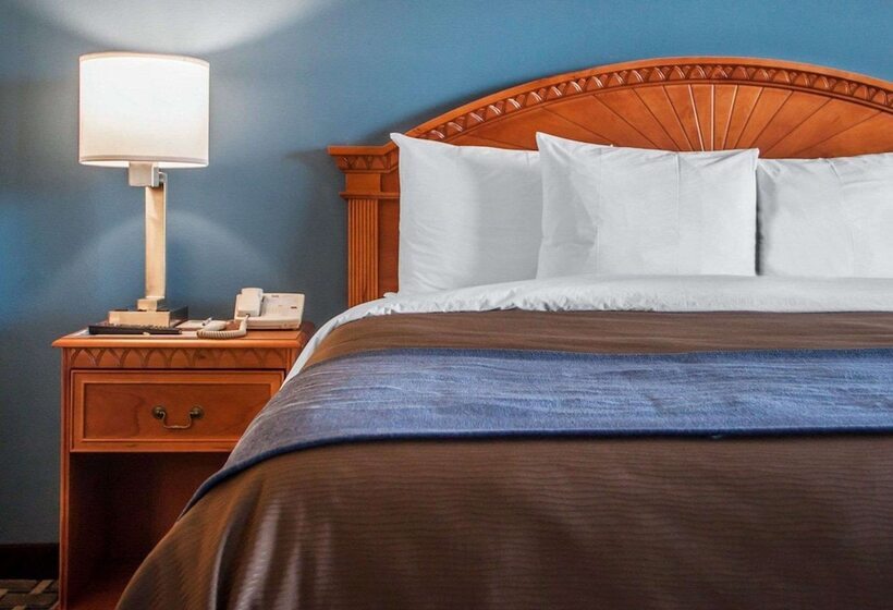 ホテル Comfort Inn & Suites