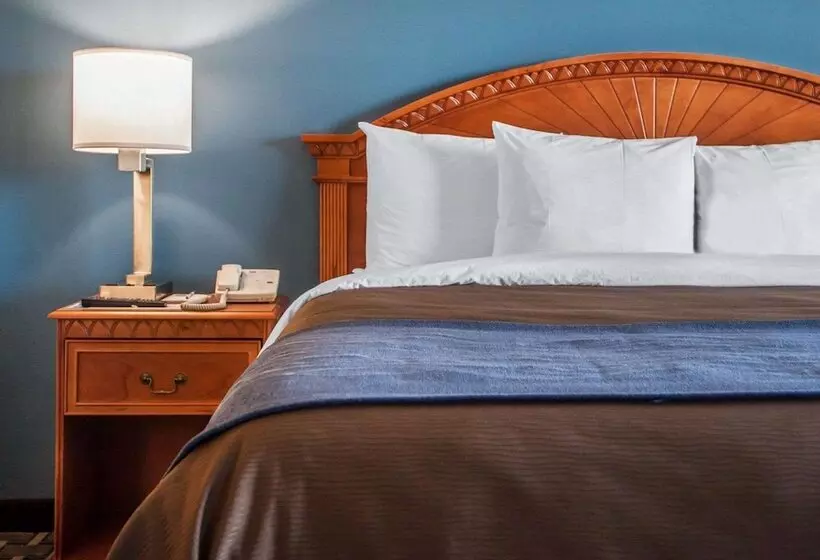 호텔 Comfort Inn & Suites