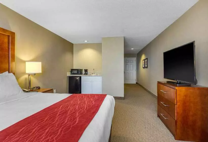 酒店 Comfort Inn & Suites North Conway