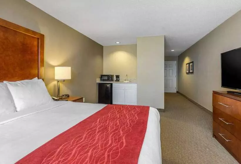 酒店 Comfort Inn & Suites North Conway