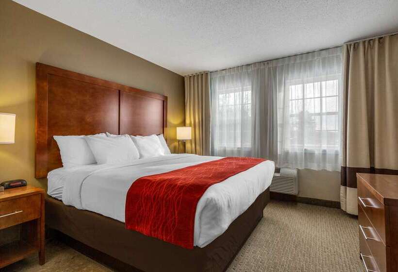 فندق Comfort Inn & Suites North Conway