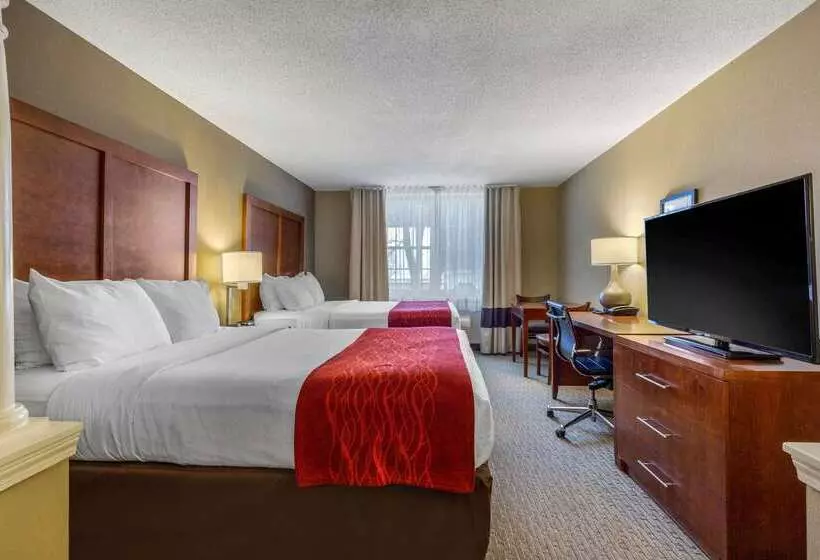 酒店 Comfort Inn & Suites North Conway
