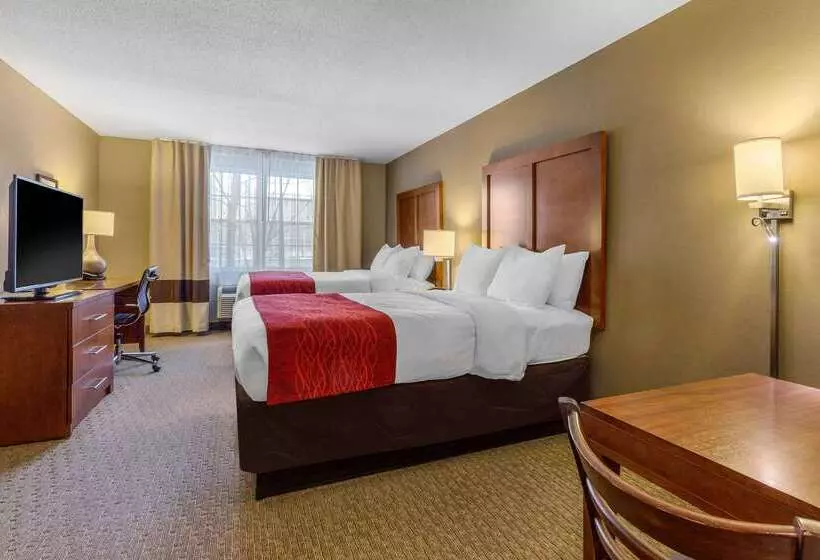 酒店 Comfort Inn & Suites North Conway