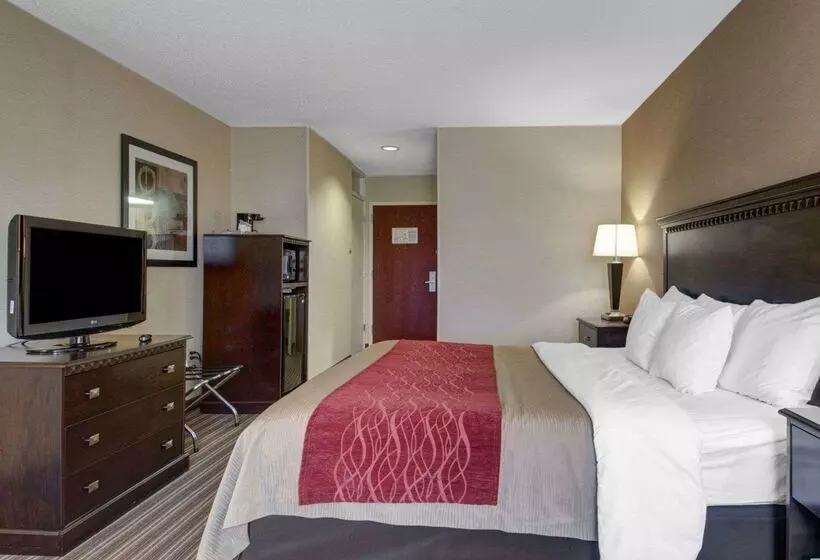 ホテル The Inn At Woburn   Boston