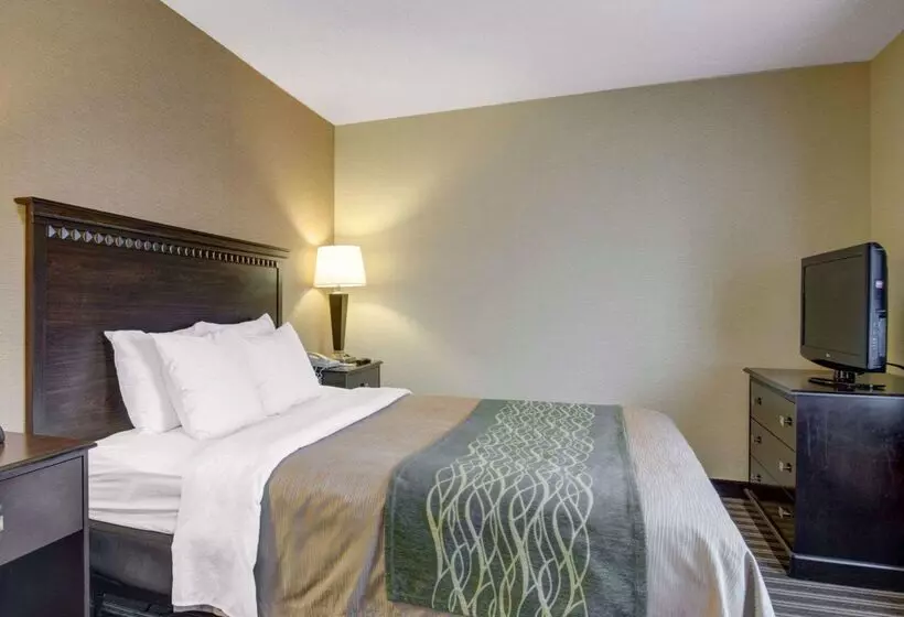 ホテル The Inn At Woburn   Boston