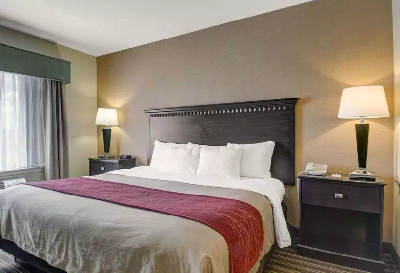 ホテル The Inn At Woburn   Boston