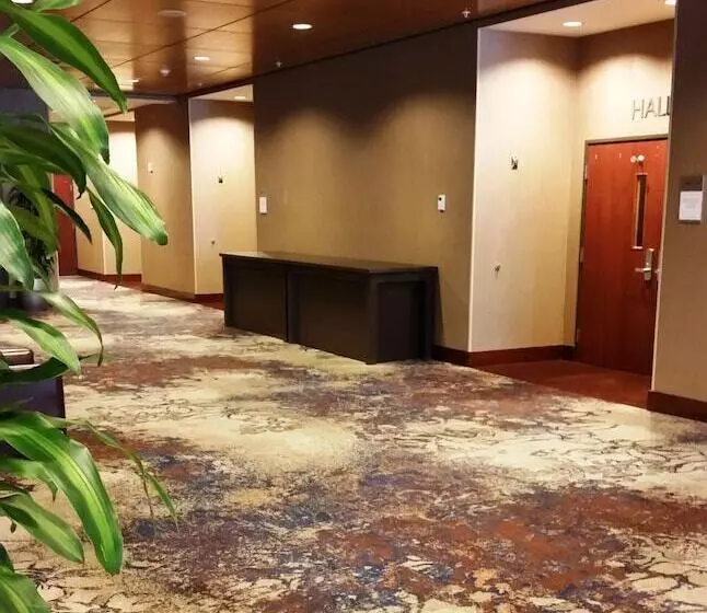 酒店 Courtyard By Marriott Seattle Bellevue/downtown